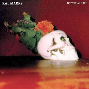 Universal Care Vinyl Protector