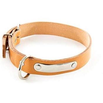 Collar de perro de cuero con placa identificativa Martin Sellier