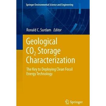 Springer Geological Carbon Dioxide Storage Analysis