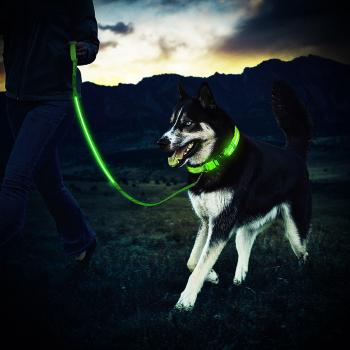 ZeWoo USB recargable Collar para Perro + LED Correa de perro - Gran visibilidad y seguridad mejorada -
