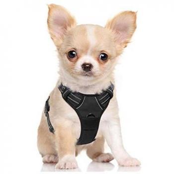 rabbitgoo Arnes Perro Pequeño con Lineas Reflecantes Arnés Perros Antitirones Coche Adiesreamiento Bicicleda Correr Chaleco Acolchado Ajustable, Negro