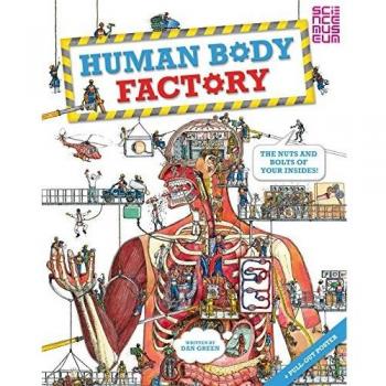 The Human Body Factory: A Guide To Your Insides