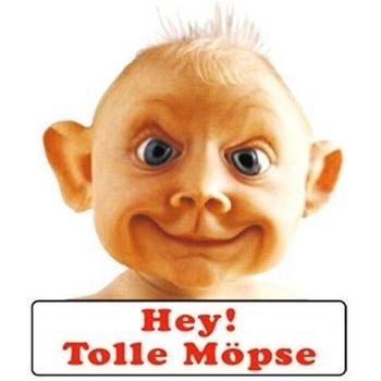 Adhesivo Hey! Tolle Möpse 135 x 110 mm