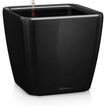 3 pieza lechuza Quadro LS 35 Premium Juego completo – negro brillante