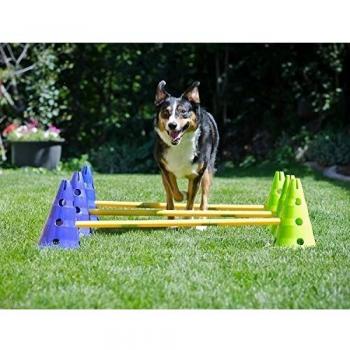 Ball Dynamics FPK9AGILITY Canine Gym Dog Agility Training Set