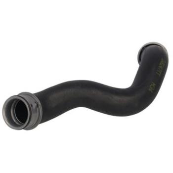 Manguera de goma del sistema de refrigeración THERMOTEC DWB247TT, Tubería de radiador THERMOTEC DWB247TT, THERMOTEC Tubería de radiador debajo, derecha