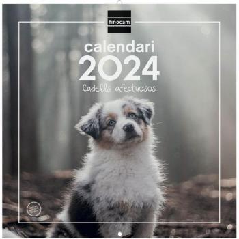 Finocam - Calendario de Pared 2024 Cachorros Catalán 30x30 cm Enero-Diciembre (12 Meses)