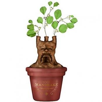 Macetero Mesa Harry Potter Mandragora - Macetero cerámica - Macetero Original - Decoración hogar Harry