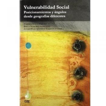 Vulnerabilidad Social: Posicionamientos y ángulos desde geografías diferentes