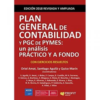 Plan General de Contabilidad y PGC de Pymes: Un análisis práctico y a fondo