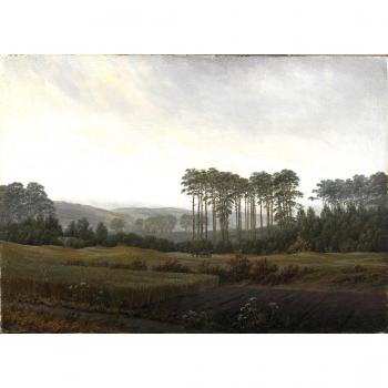 Tarde Por Caspar David Friedrich. 100% pintado a mano óleo sobre lienzo. Reproducción de alta calidad. Envío gratuito