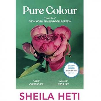 Libro Pure Colour: la nueva novela de la autora de Motherhood y How Should A Person Be?