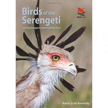 Birds of the Serengeti: And Ngorongoro Conservation Area