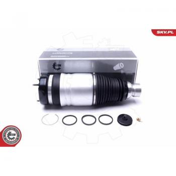 Amortiguador neumático ESEN SKV 58SKV060 con suspensión de aire