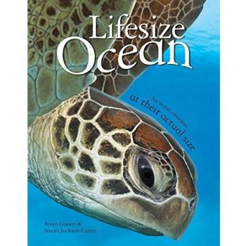 Lifesize Ocean