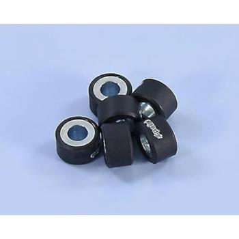 Rodillos Variadores POLINI 20x12mm 10,1gr - Juego de 6 piezas