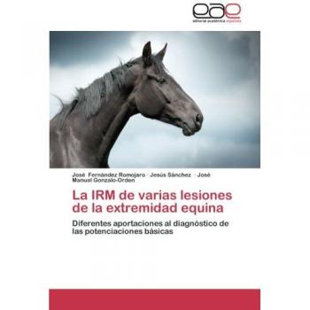 La Irm de Varias Lesiones de La Extremidad Equina: Diferentes aportaciones al diagnóstico de las potenciaciones básicas