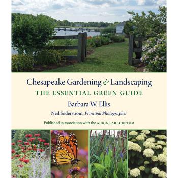 Chesapeake Gardening and Landscaping: The Essential Green Guide