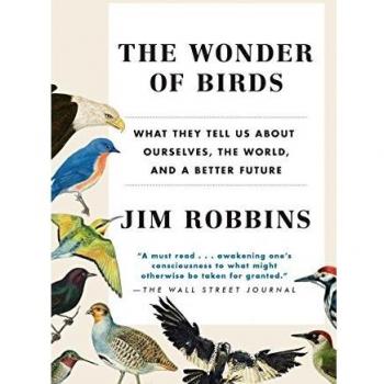 The Wonder of Birds: What They Tell Us about Ourselves, the World, and a Better Future