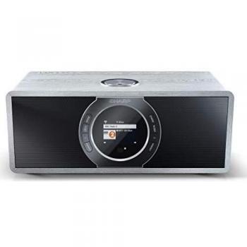 Sharp DRI470GR radio Portátil Digital Gris