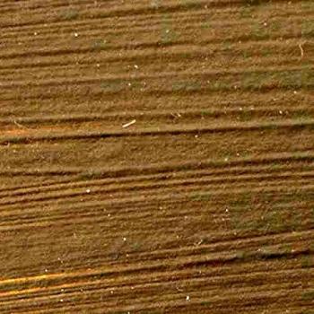 Royal Talens Amsterdam acrílico | Colores y tamaños indicados Raw Umber 250ml