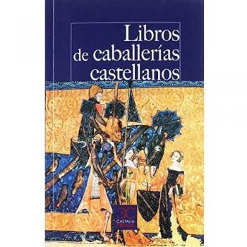 Libros de caballerías castellanos: Los textos que pudo leer Don Quijote