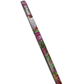 JBL 616260 Tubo Fluorescente Solar para Colores Intensos en Acuarios, 58 w, T8