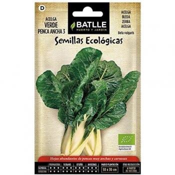 Acelga Verde penca ancha 3 - ECO