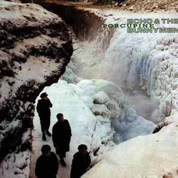 Porcupine [Vinilo]