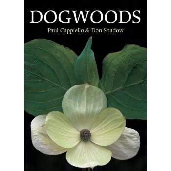 Dogwoods