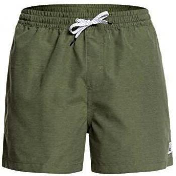 Quiksilver Everyday 15 Swim SRT Pantalones Cortos De Natación, Hombre, Verde