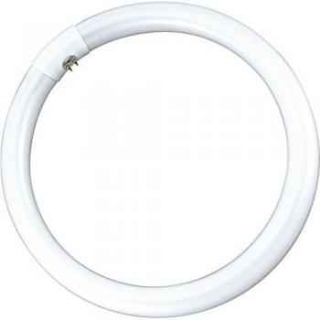 Garza Lighting - Tubo Fluorescente Circular G10Q 32W 2.100 lúmenes 6.500K