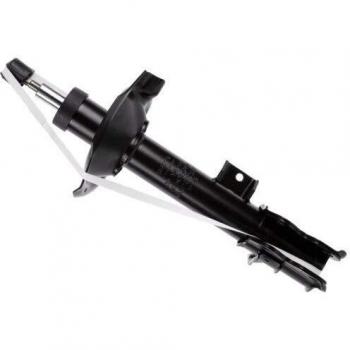 SACHS 318219