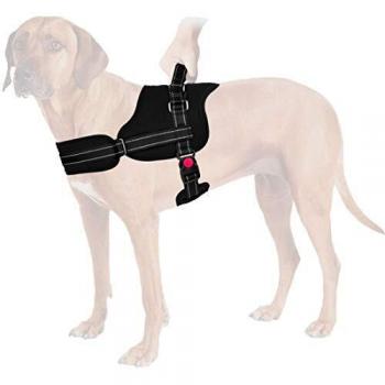 Nasjac Arnés No Pull, arnés para Perros con arnés Transpirable, Acolchado, Reflectante en la Parte Delantera y Trasera Arnés para Perros Ajustable con Dos Anillas Protectoras