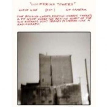 Luciferian Towers - Vinyl Record