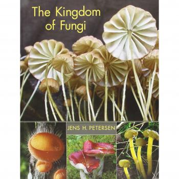 The Kingdom of Fungi