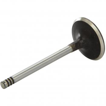 Válvula de Admisión AE V91187 para BMW 11341708895, 11341720827