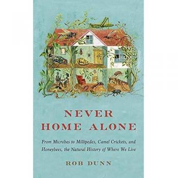 Never Home Alone