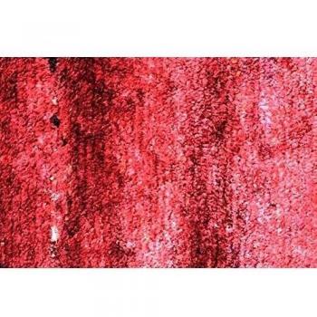 Toulemonde Bochart - Alfombra Linea modelo Vega alfombra viscosa rojo 270 x 180 cm