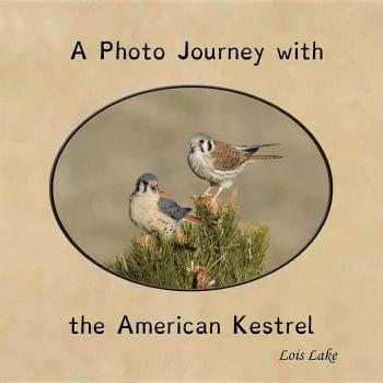 Viaje Fotográfico con el Cernícalo Americano - Edición en Rústica
