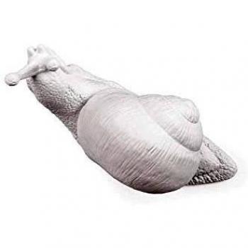 Snail Hanger, Awake