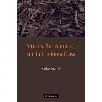 Atrocity, Punishment, and International Law