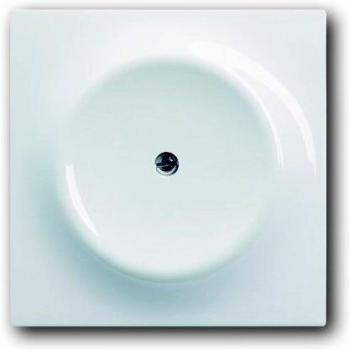 ABB Busch-Jaeger White Central Blank Cover Plate 1742-74