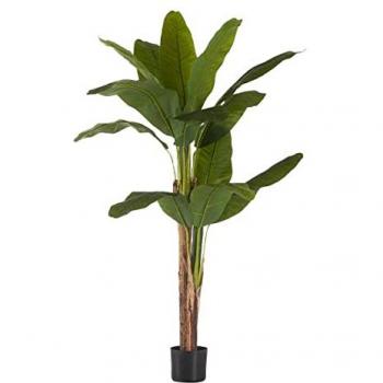 Ibergarden Planta Decorativa Bananera Verde Plástico 80 x 150 x 80 cm Multicolor Estándar