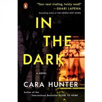 In the dark di adam fawley novel 2