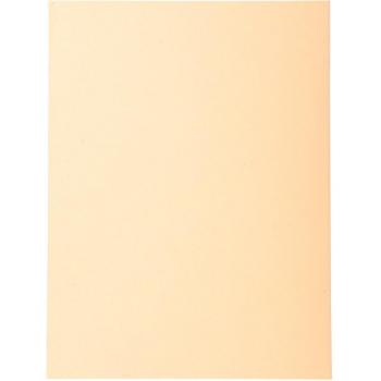 Subcarpetas Forever® 170 - Exacompta 420002E