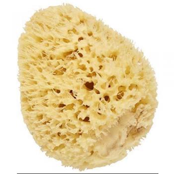 Cartel Esponja Marina Natural 21 g