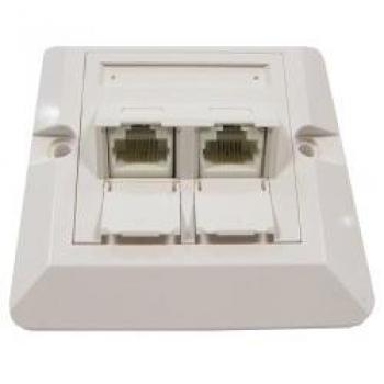 BeMatik - Placa de Pared de 80x80 de 2 RJ45 Cat.6 UTP