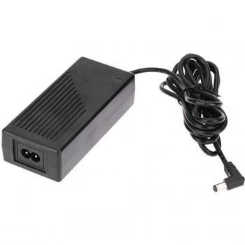 YONGNUO Adaptador de Alimentacion de AC del Cargador de Conmutacion DC para Yongnuo LED Luz de video YN-600L Entrada de AC / Salida de DC