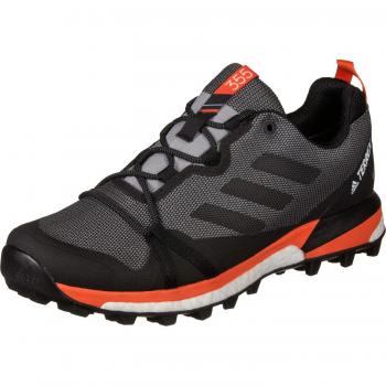 adidas Terrex Skychaser LT GTX Zapatillas de Trail Running Grey